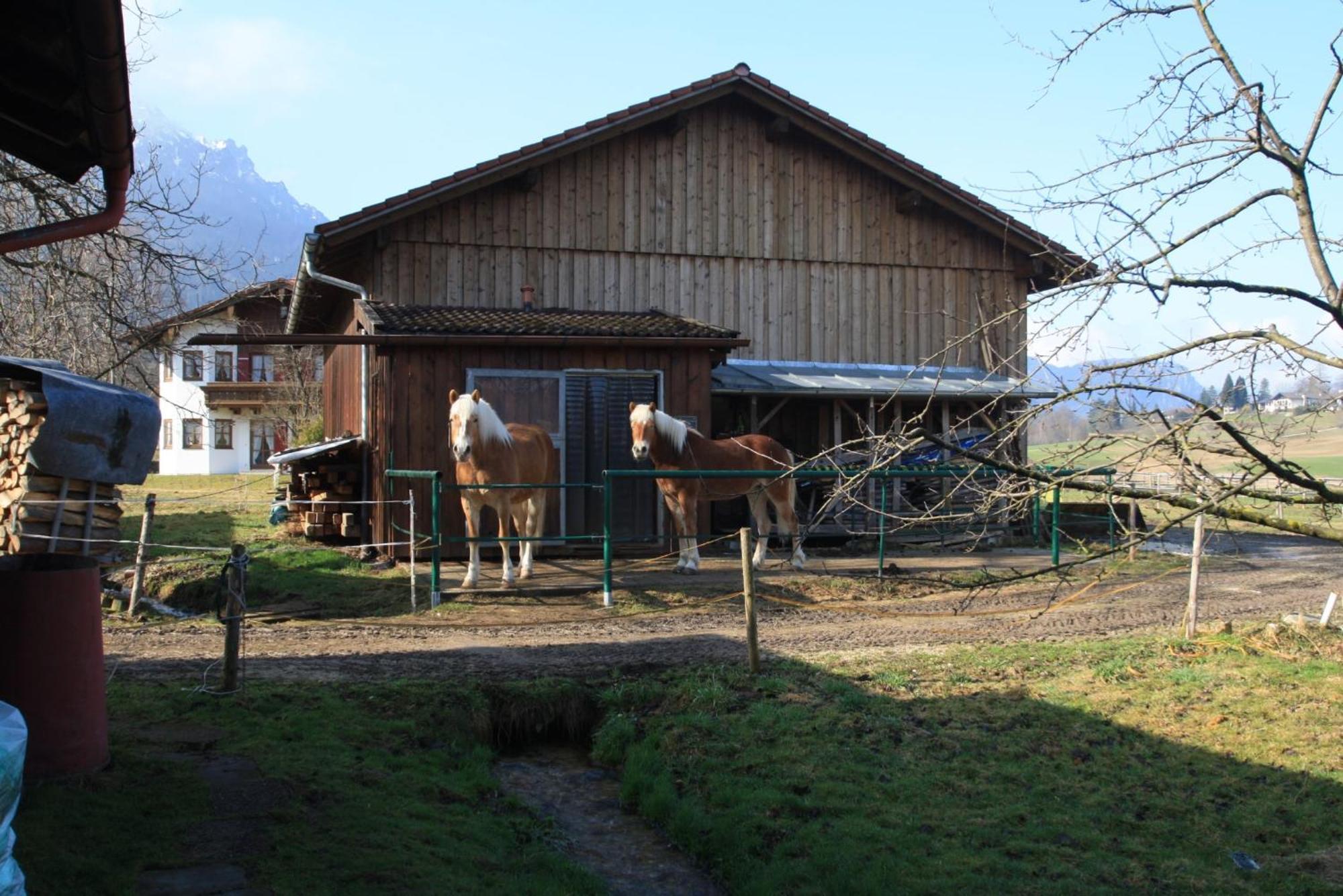 Ferienwohnung Bachbauernhof Bayerisch Gmain Exterior foto