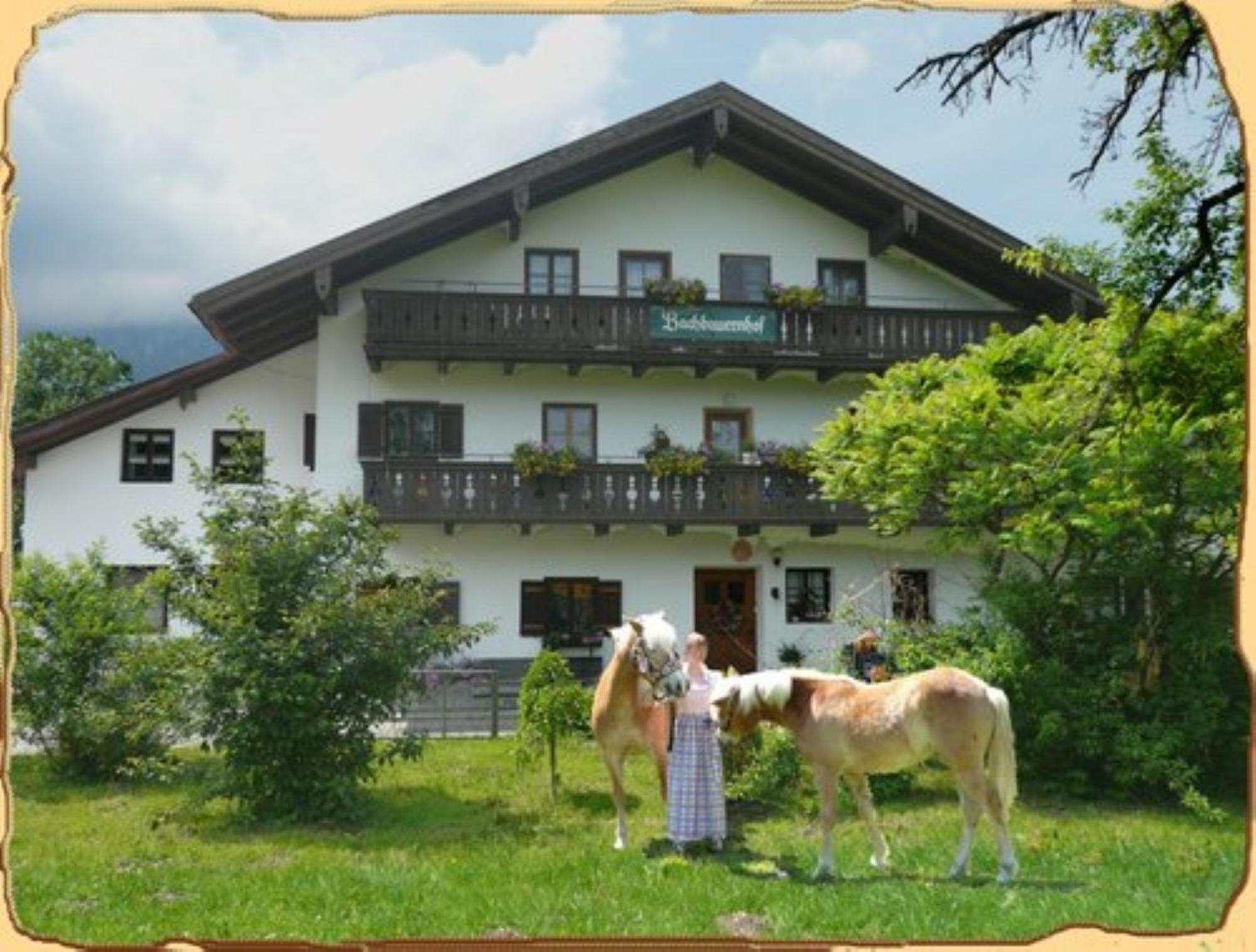 Ferienwohnung Bachbauernhof Bayerisch Gmain Exterior foto
